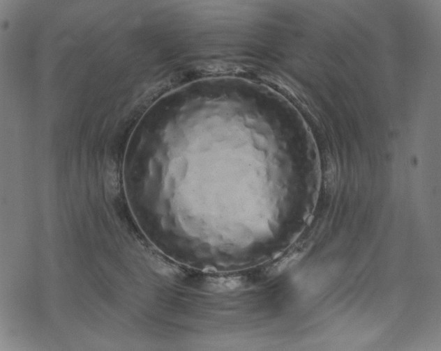 X0000073980469200608211259