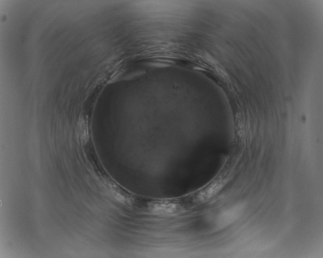 X0000073980471200608211259
