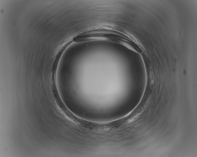 X0000073980485200608211258