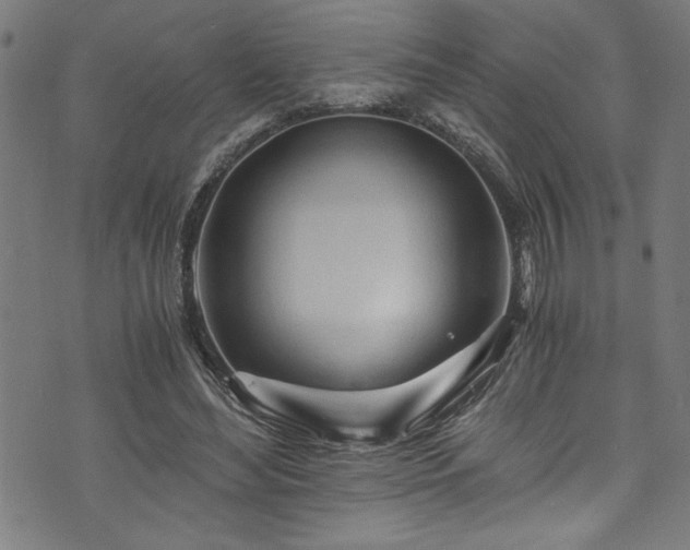 X0000073980492200608211258