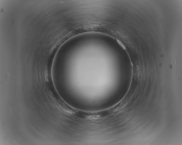 X0000073980508200608211258