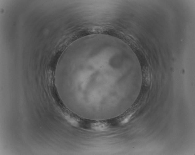 X0000073980511200608211258