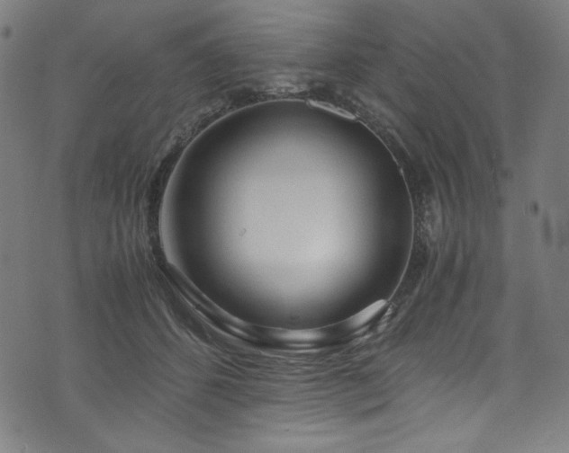 X0000073980512200608211258