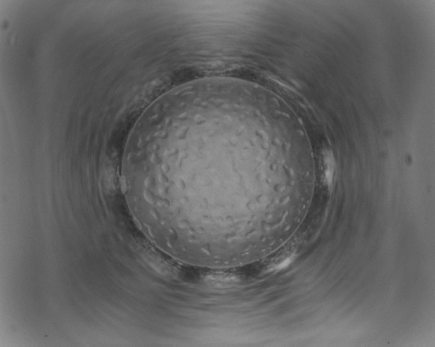 X0000073980515200608211258