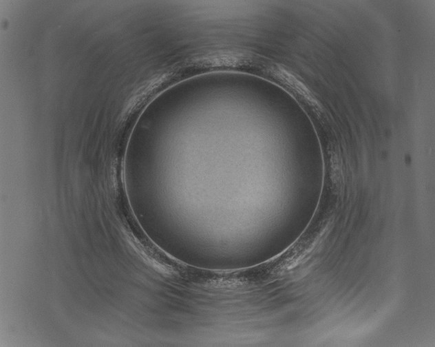 X0000073980537200608211257