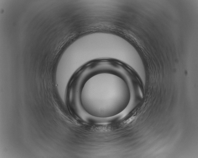 X0000073980546200608211257