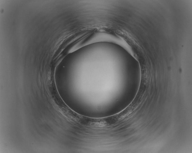 X0000073980548200608211257