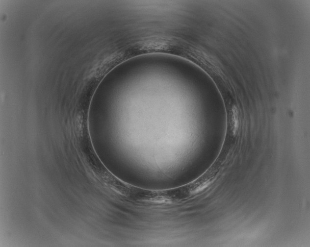 X0000073980551200608211257