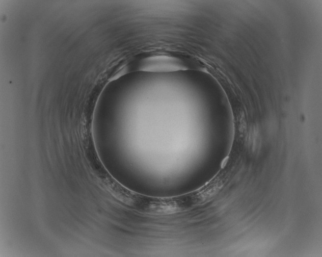 X0000073980559200608211257