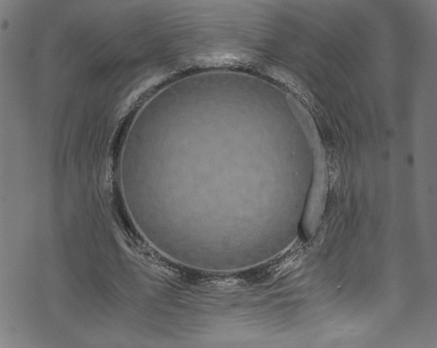X0000073980583200608211257
