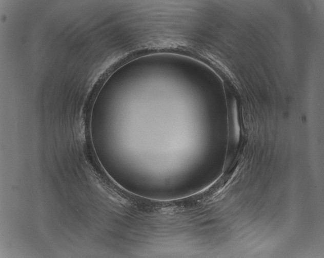 X0000073980584200608211257