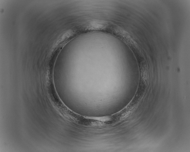X0000073980591200608211257