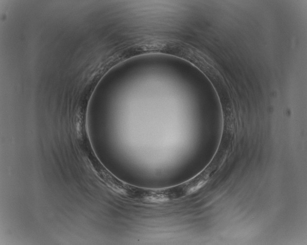 X0000073980604200608211257