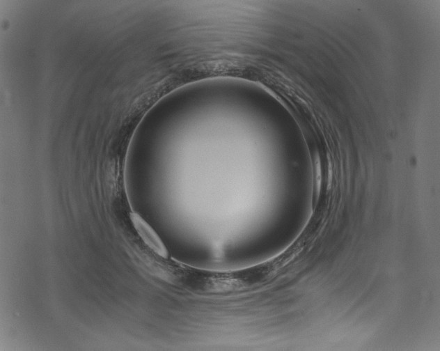 X0000073980605200608211257