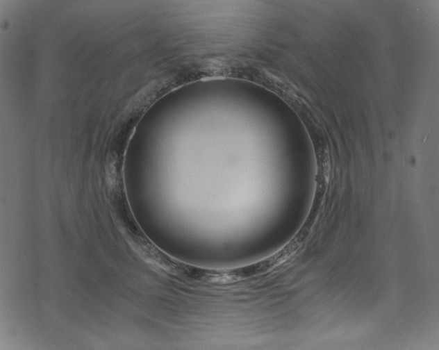 X0000073980611200608211256