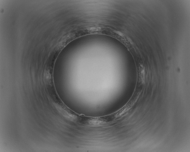 X0000073980614200608211256