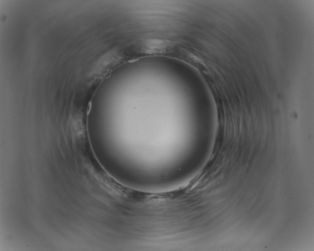 X0000073980620200608211256