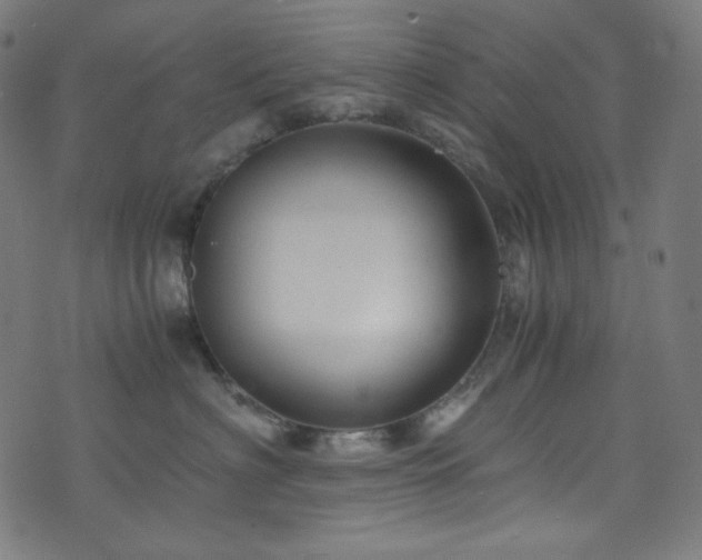 X0000073980622200608211256