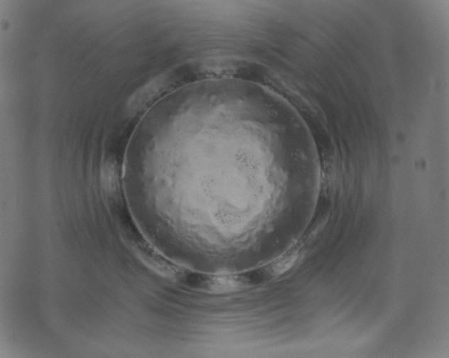 X0000073980623200608211256