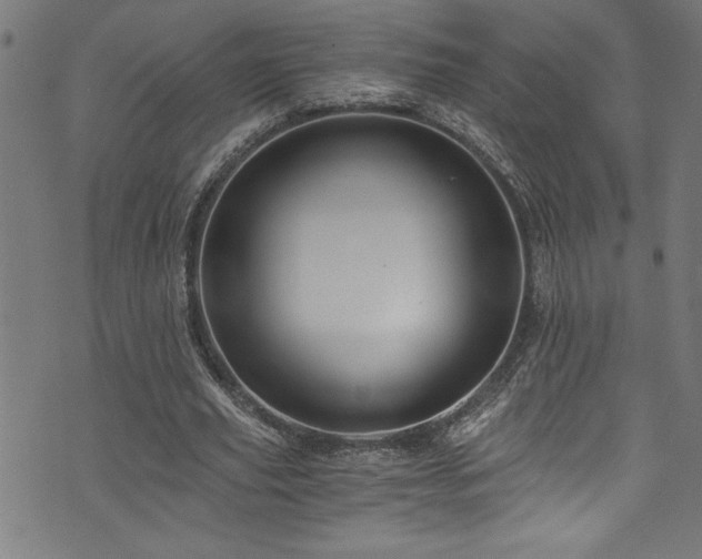 X0000073980629200608211255