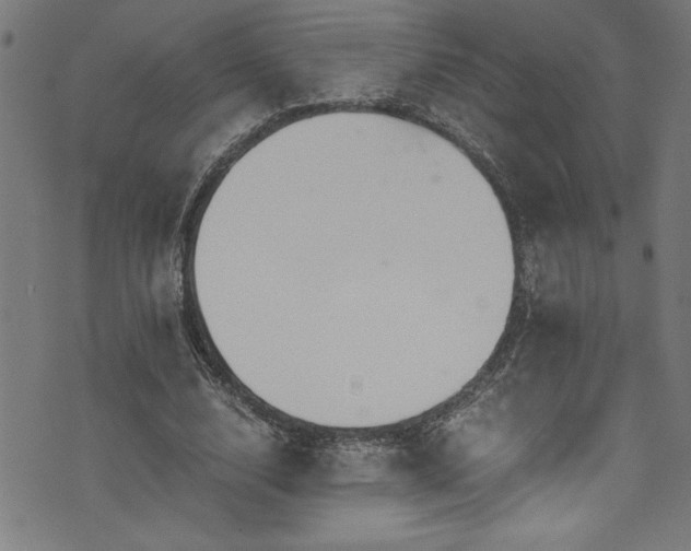X0000073980632200608211256