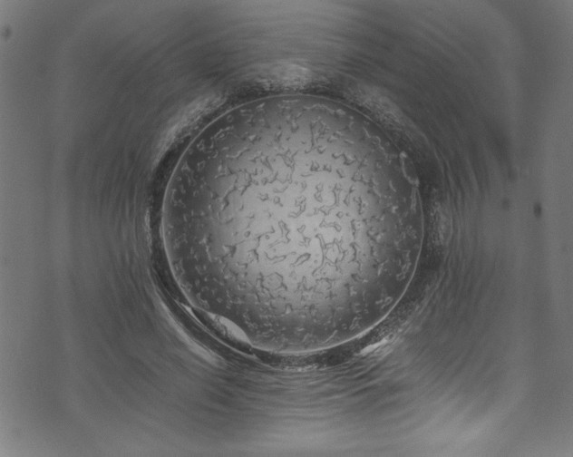 X0000073980638200608211256