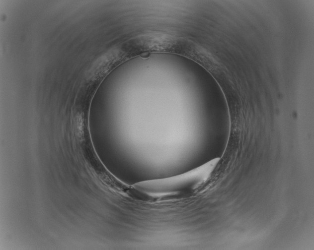 X0000073980646200608211256