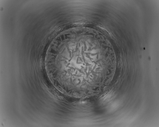 X0000073980647200608211256