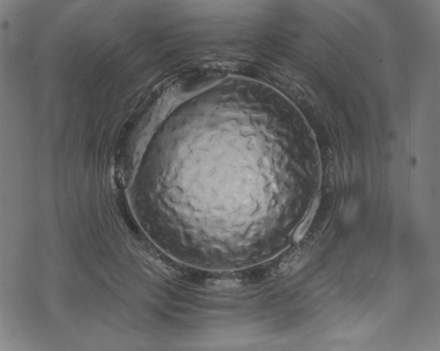 X0000073980649200608211256