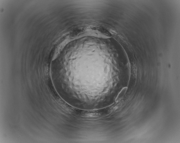X0000073980657200608211256