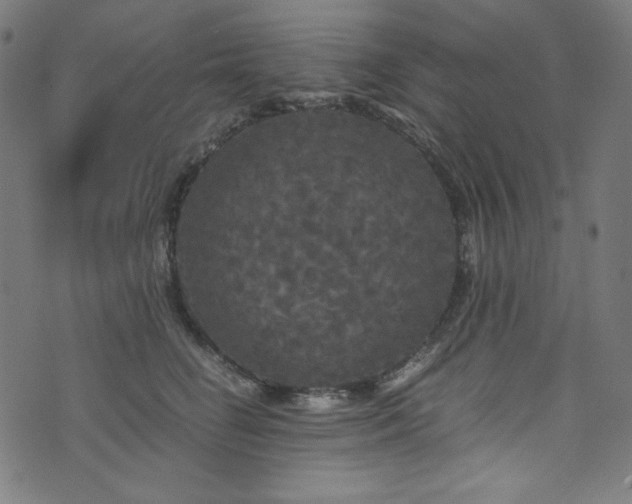 X0000073980662200608211256