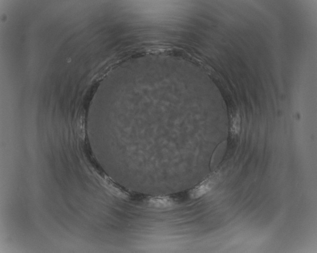 X0000073980666200608211256