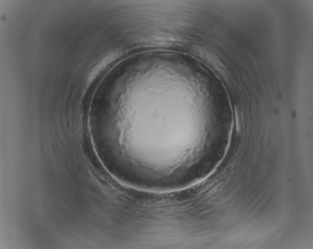 X0000073980675200608211255