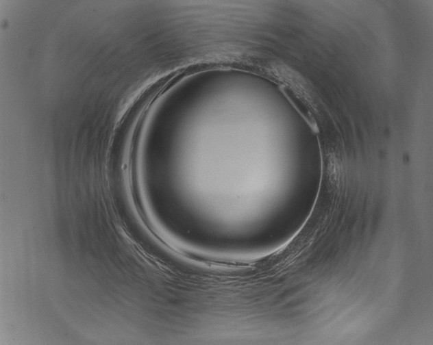 X0000073980676200608211255