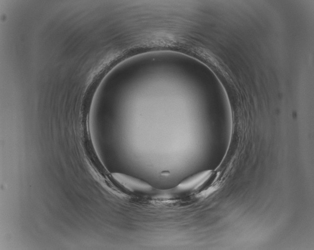 X0000073980677200608211255