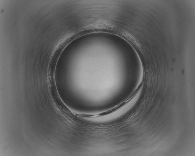X0000073980680200608211255