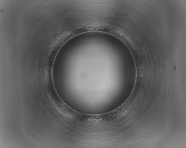 X0000073980690200608211255