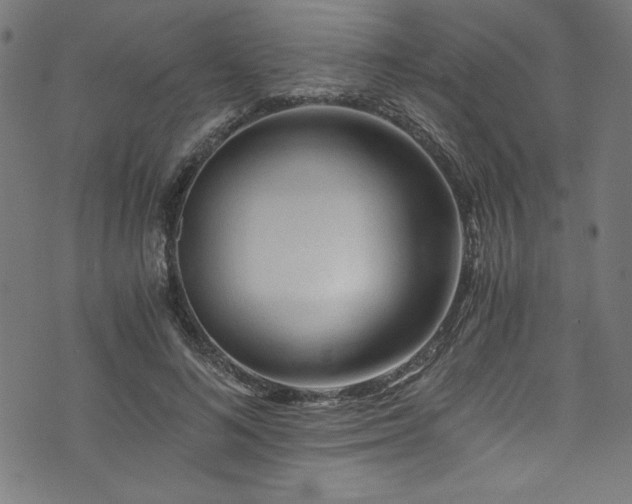 X0000073980692200608211255