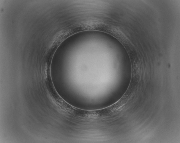 X0000073980694200608211255