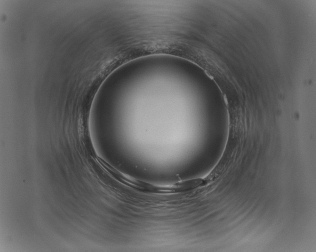 X0000073980700200608211255