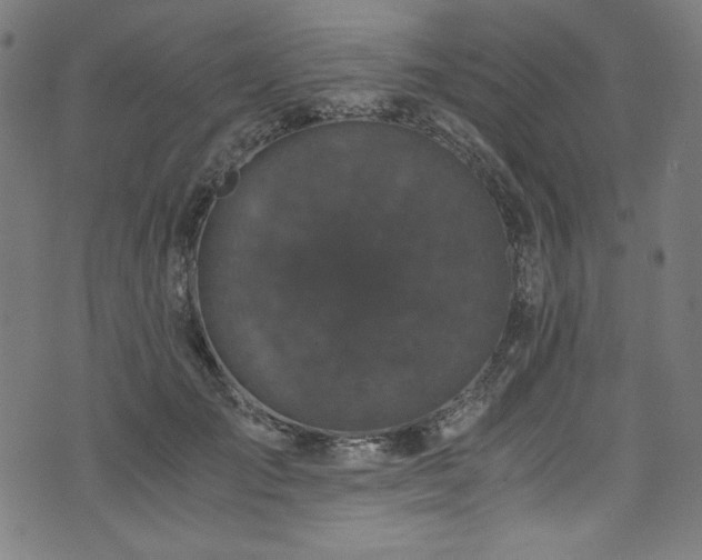 X0000073980701200608211255