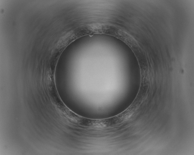 X0000073980702200608211255