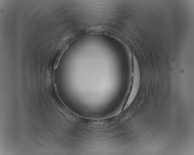 X0000073980708200608211255
