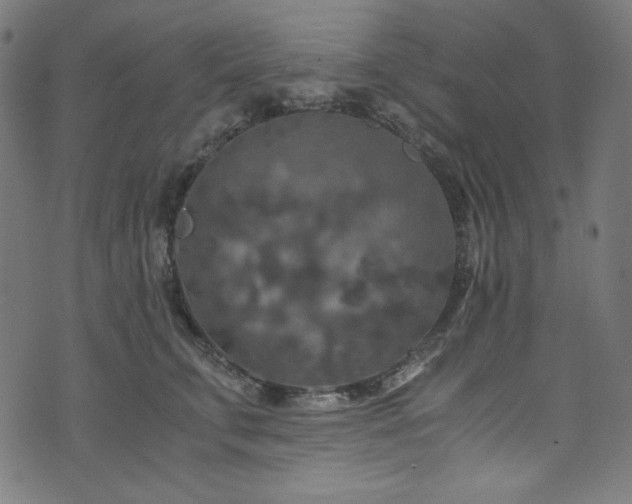 X0000073980711200608211255