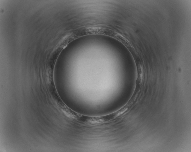 X0000073980712200608211255