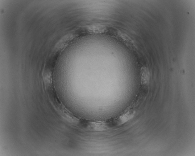 X0000073980713200608211255