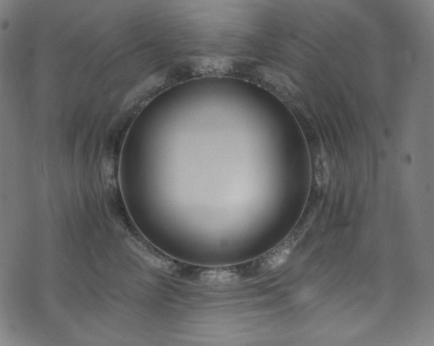 X0000073980714200608211255