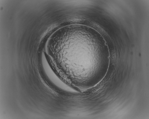 X0000073980734200608211254