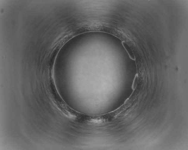 X0000073980744200608211254