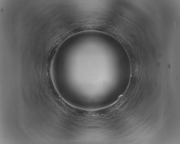X0000073980746200608211254